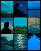 Rexo Signature Presets — Complete Collection