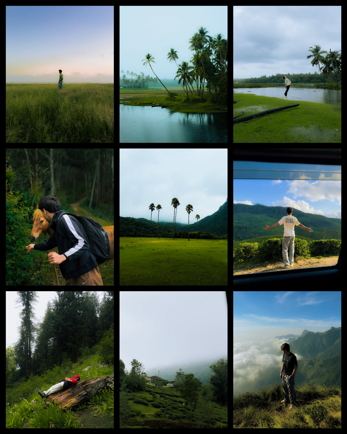 Rexo Signature Presets — Complete Collection